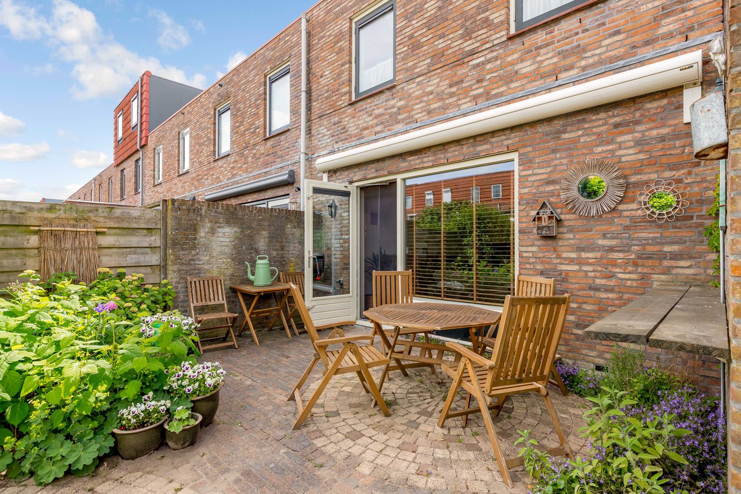 Foto 29 van Zeedistel 1