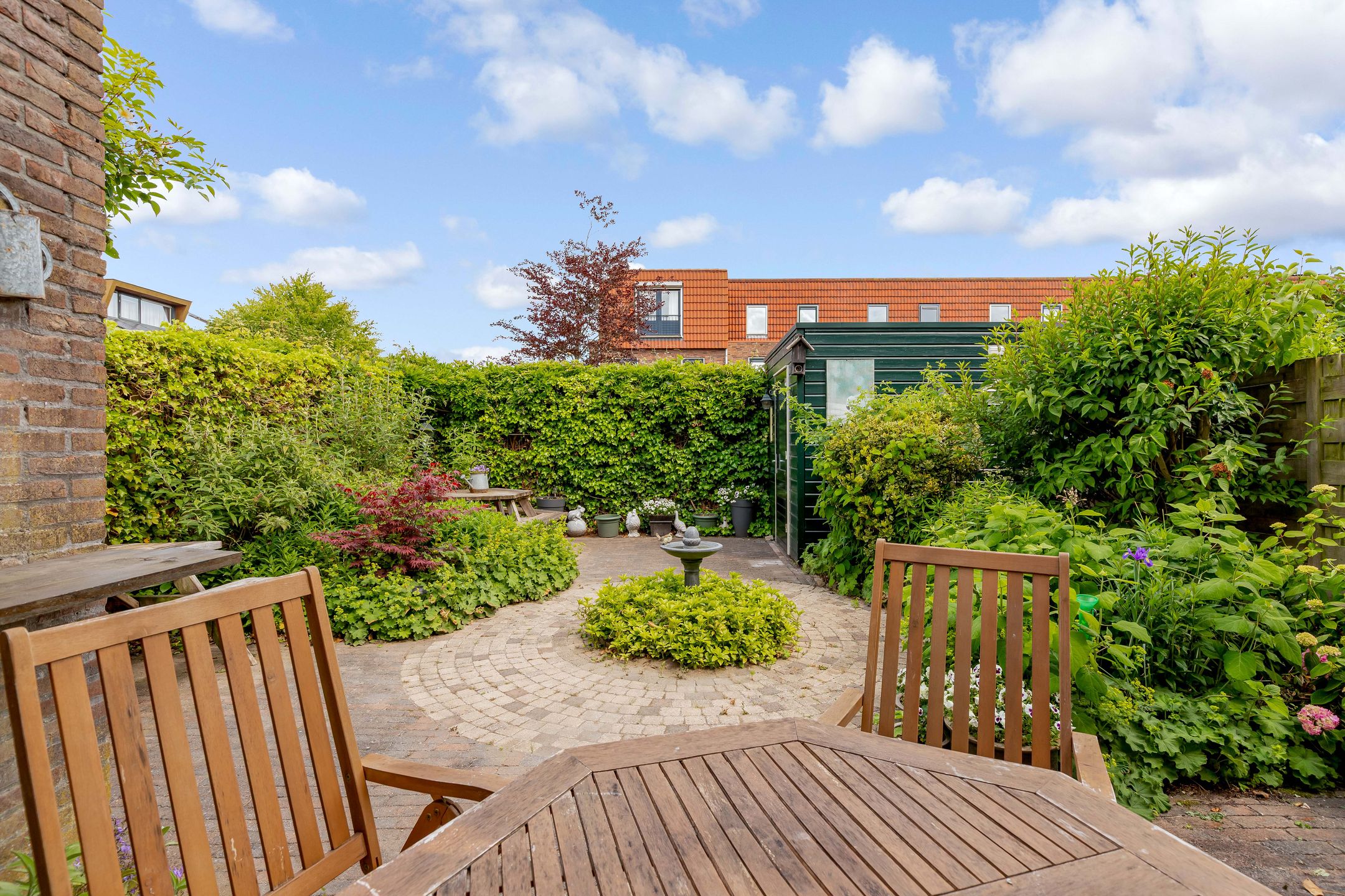 Foto 30 van Zeedistel 1