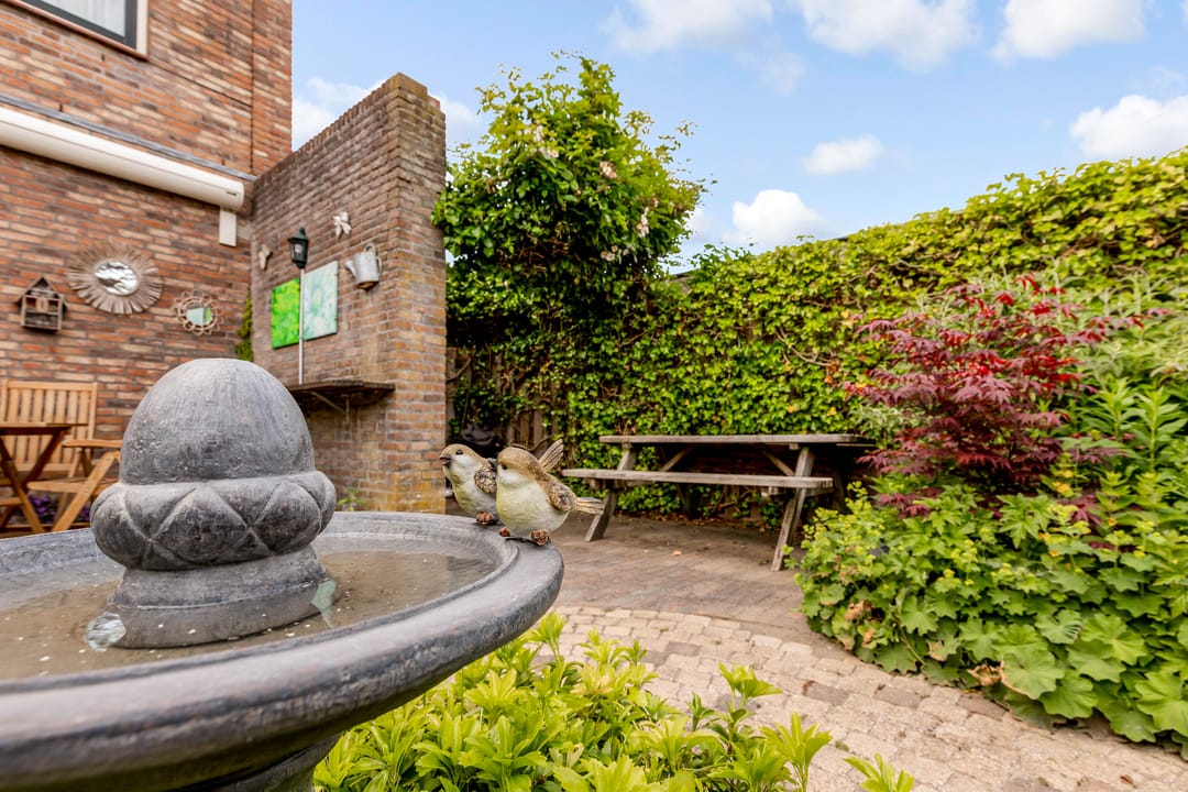 Foto 31 van Zeedistel 1