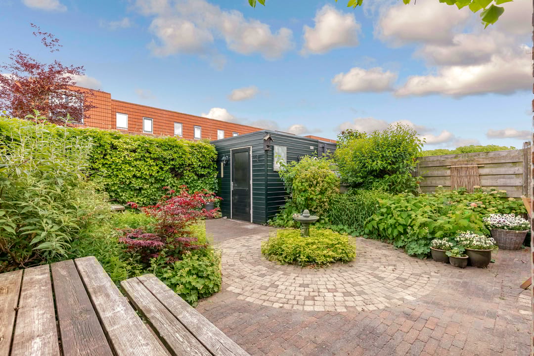 Foto 32 van Zeedistel 1