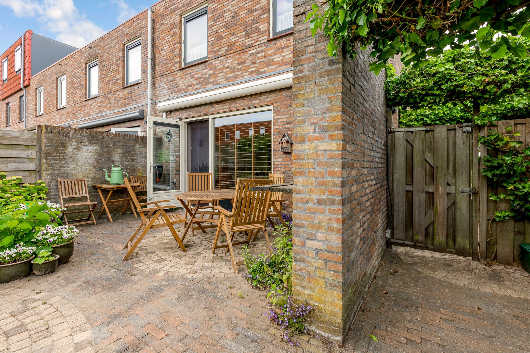 Foto 33 van Zeedistel 1