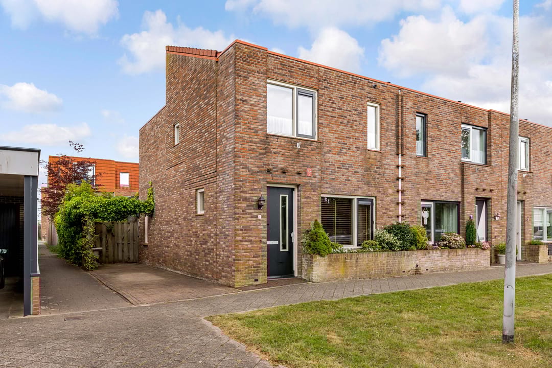 Foto 1 van Zeedistel 1