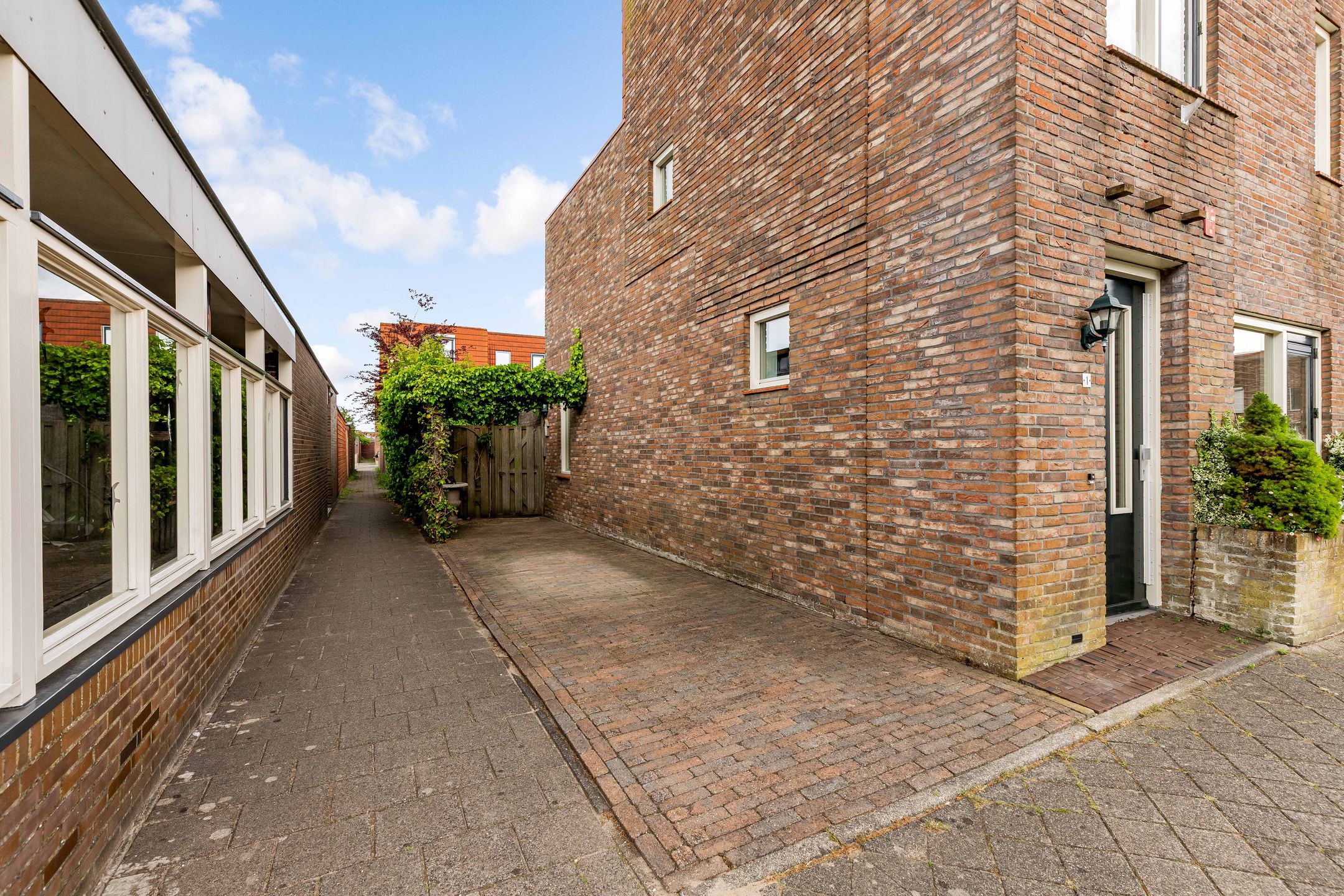 Foto 36 van Zeedistel 1