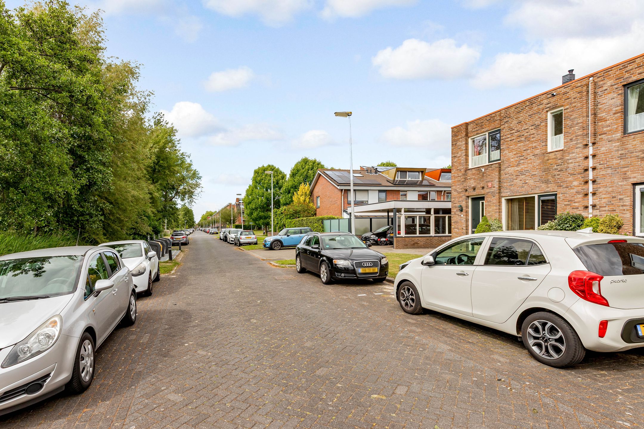 Foto 39 van Zeedistel 1