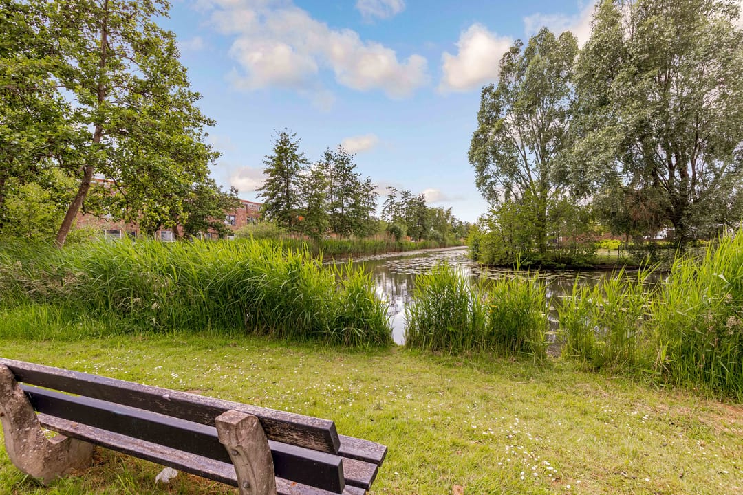 Foto 41 van Zeedistel 1