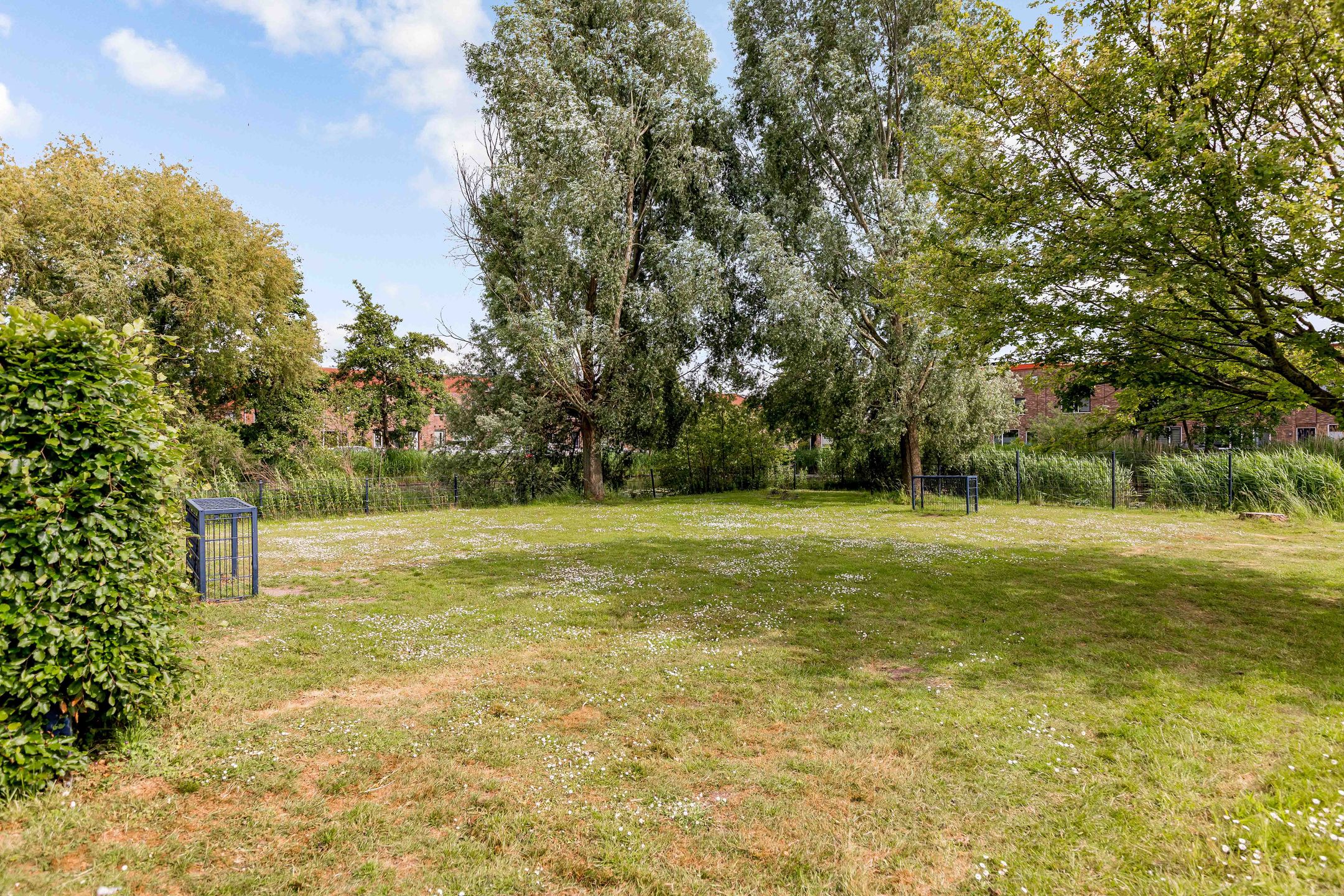 Foto 42 van Zeedistel 1