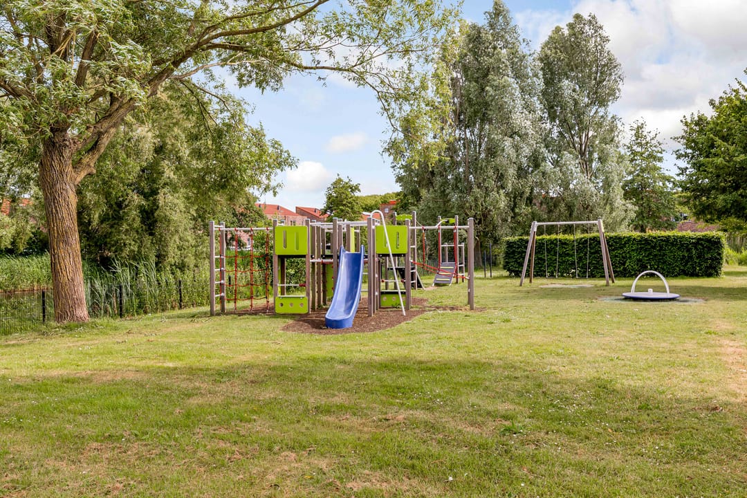 Foto 43 van Zeedistel 1