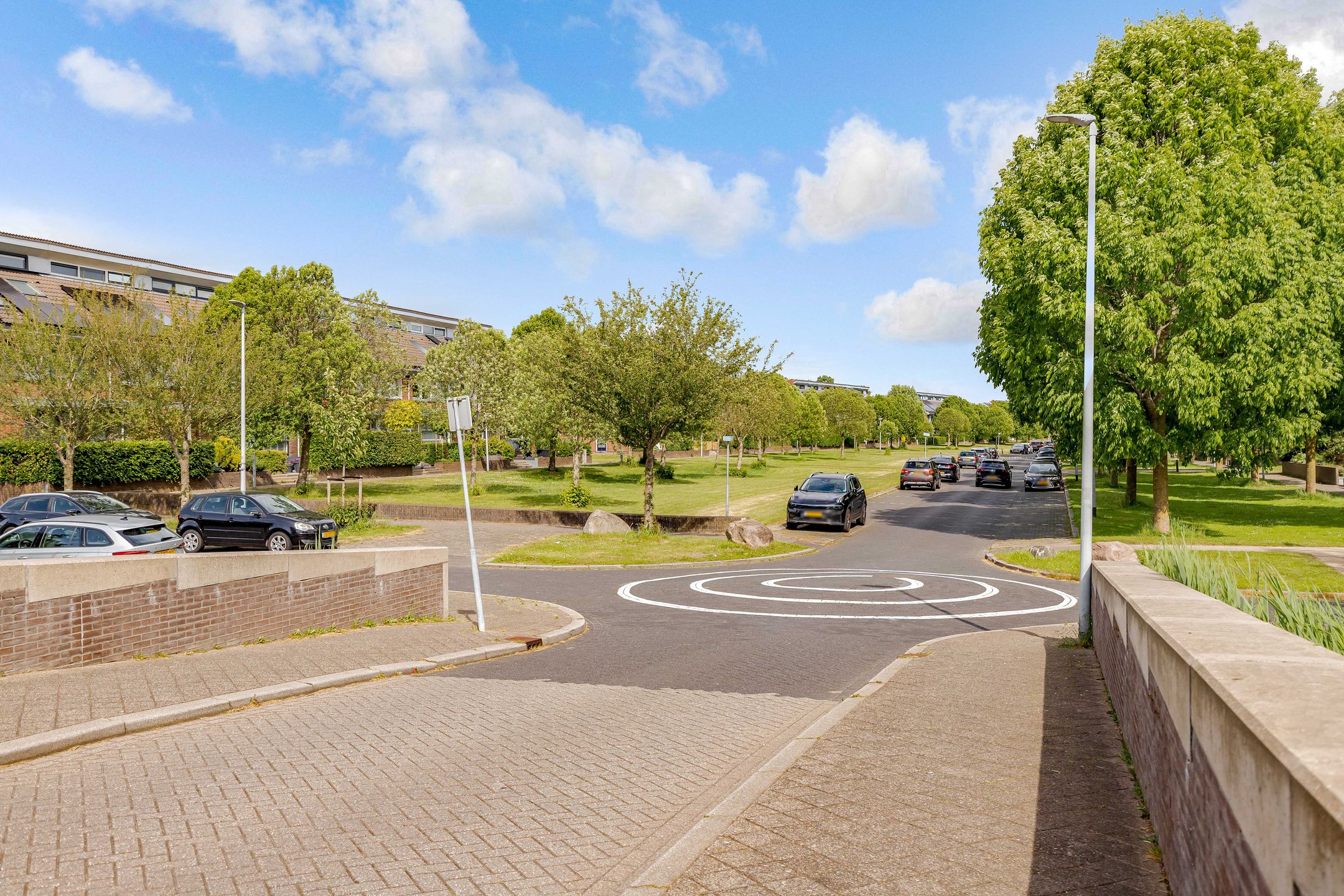 Foto 45 van Zeedistel 1