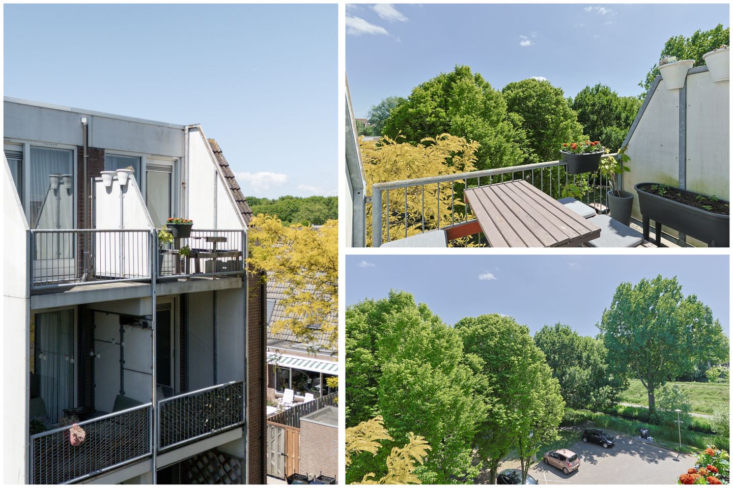 Foto 25 van Schelfhorst 181-A