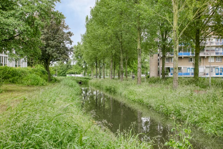 Foto 40 van Visseringstraat 8