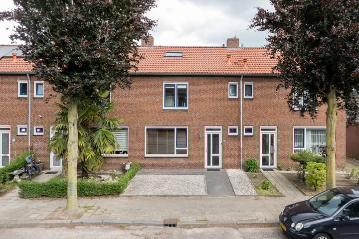 undefined main image
