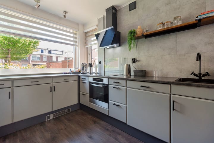 Foto 9 van Baardspringer 29