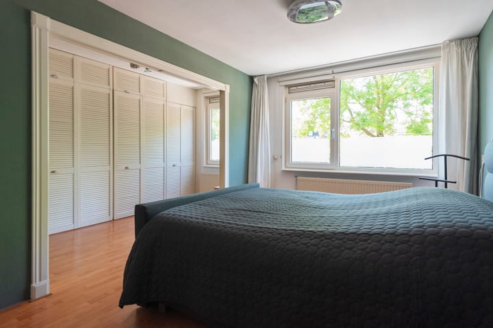 Foto 13 van Baardspringer 29