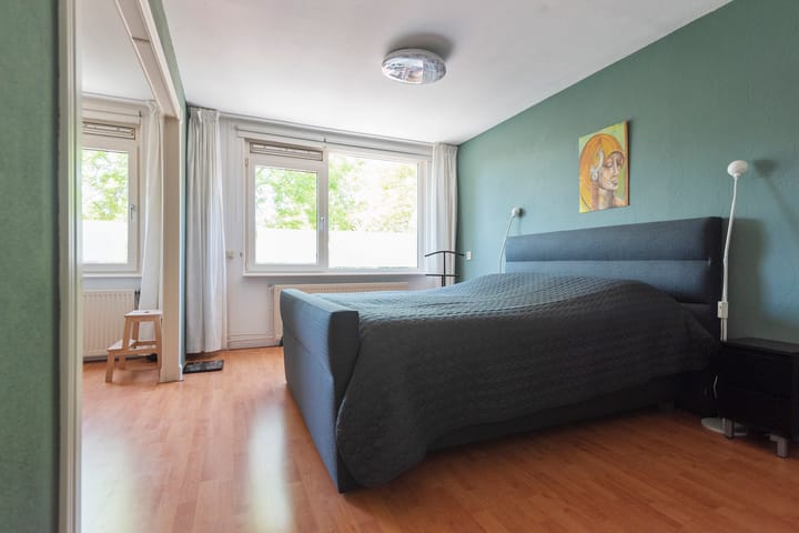 Foto 15 van Baardspringer 29