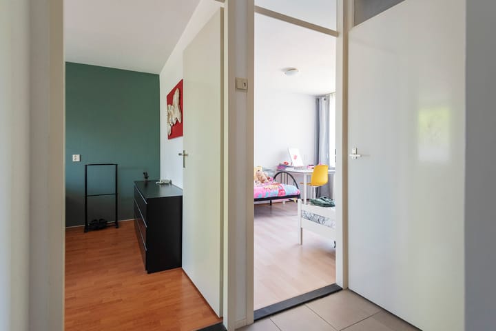 Foto 16 van Baardspringer 29