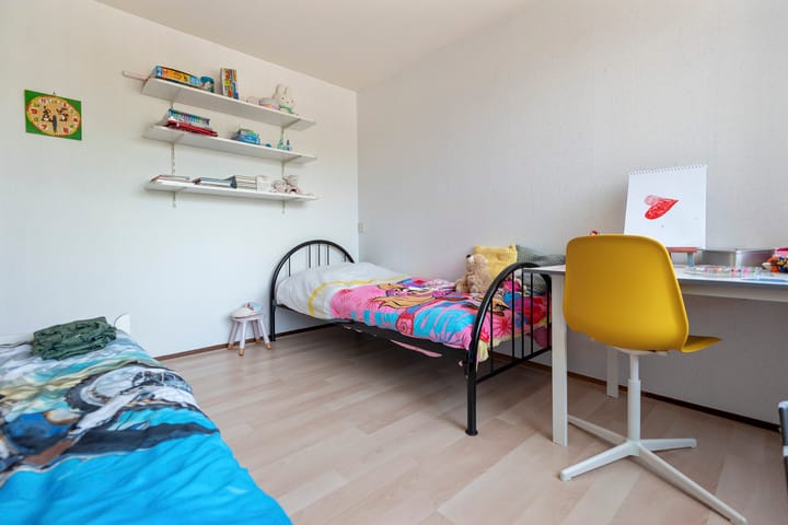 Foto 17 van Baardspringer 29