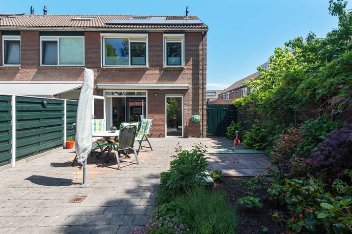 Foto 24 van Baardspringer 29