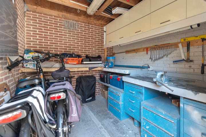 Foto 25 van Baardspringer 29