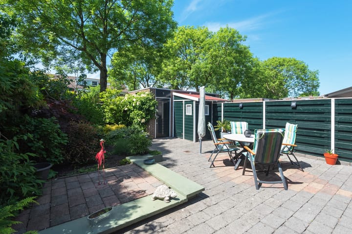 Foto 26 van Baardspringer 29