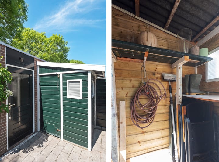 Foto 27 van Baardspringer 29