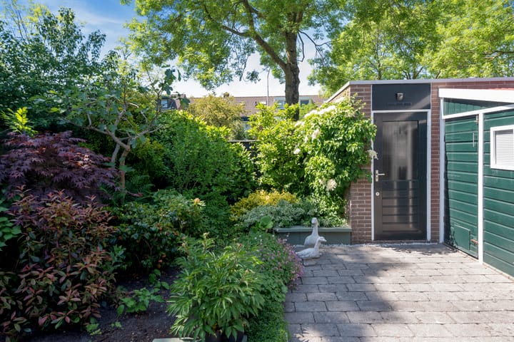 Foto 28 van Baardspringer 29