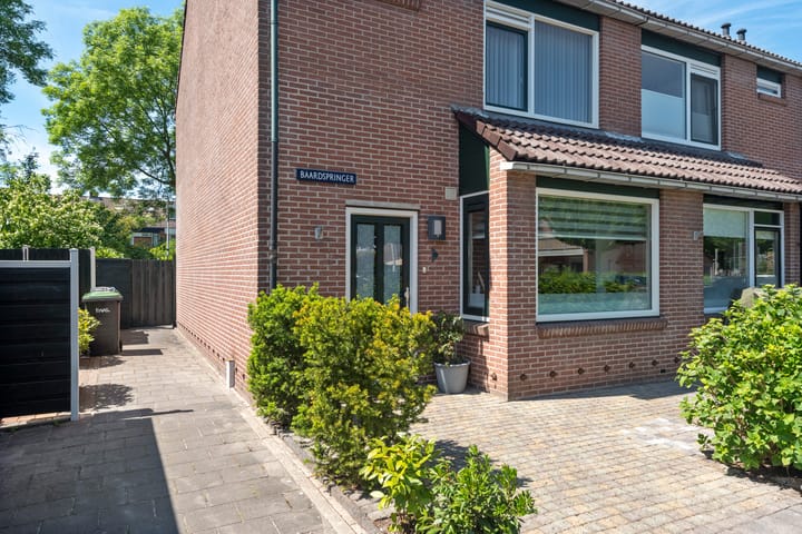 Foto 29 van Baardspringer 29