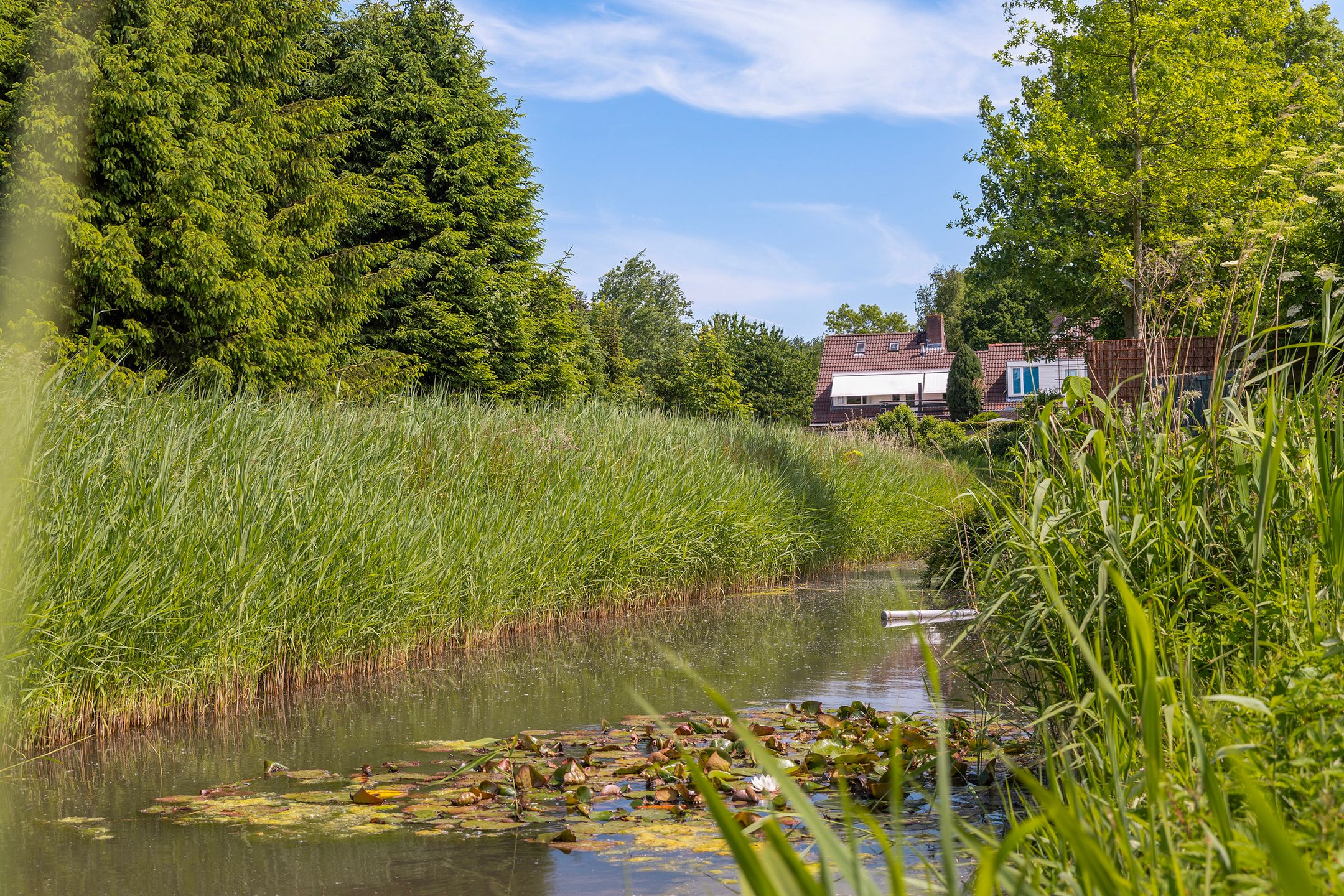 Foto 51 van Tiendweg 12