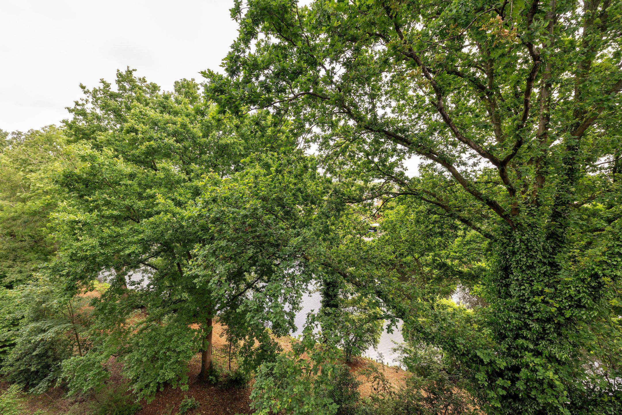 Foto 9 van Aert van Neslaan 541