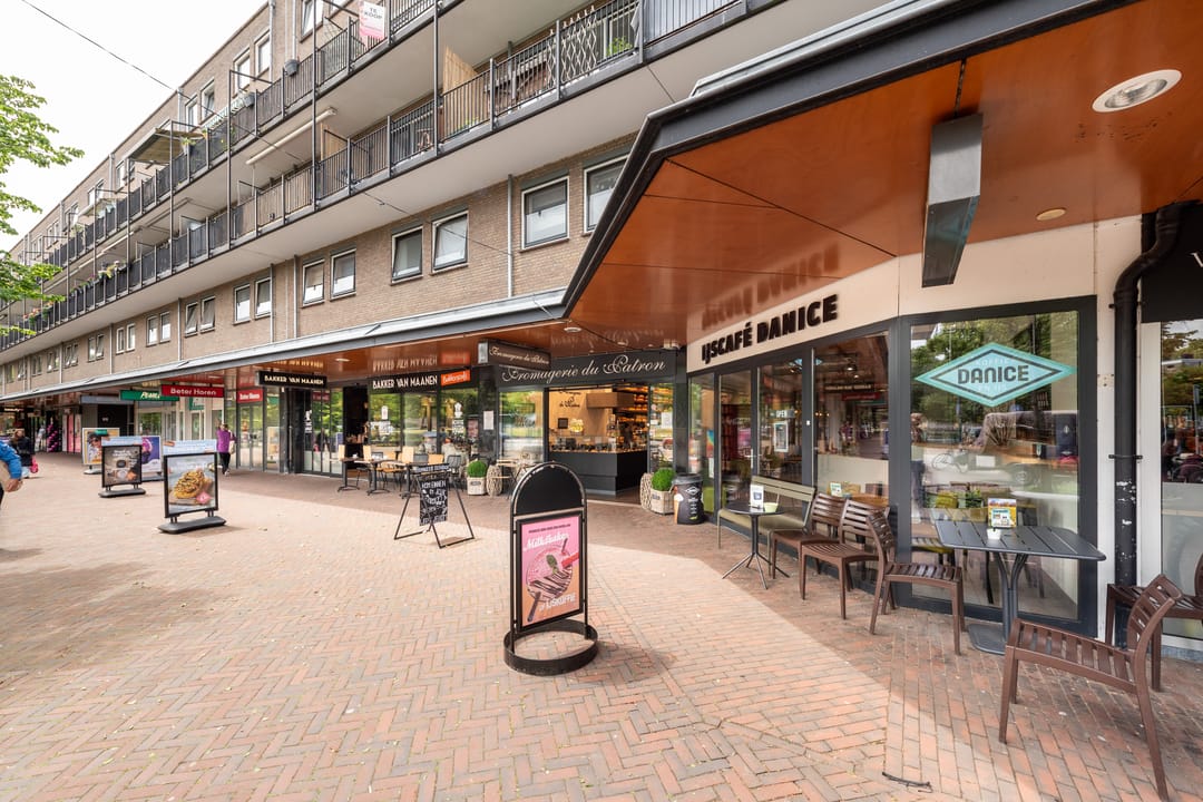 Foto 23 van Aert van Neslaan 541