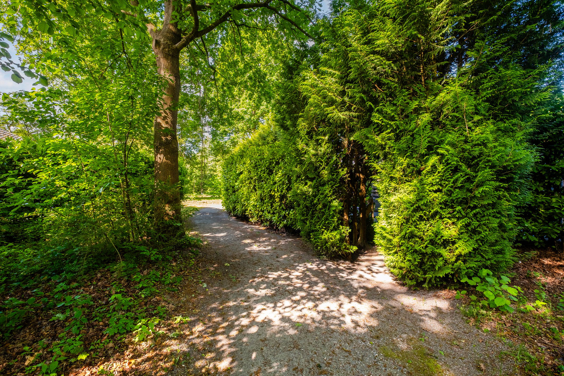 Photo 6 of Bijsselseweg 11-175
