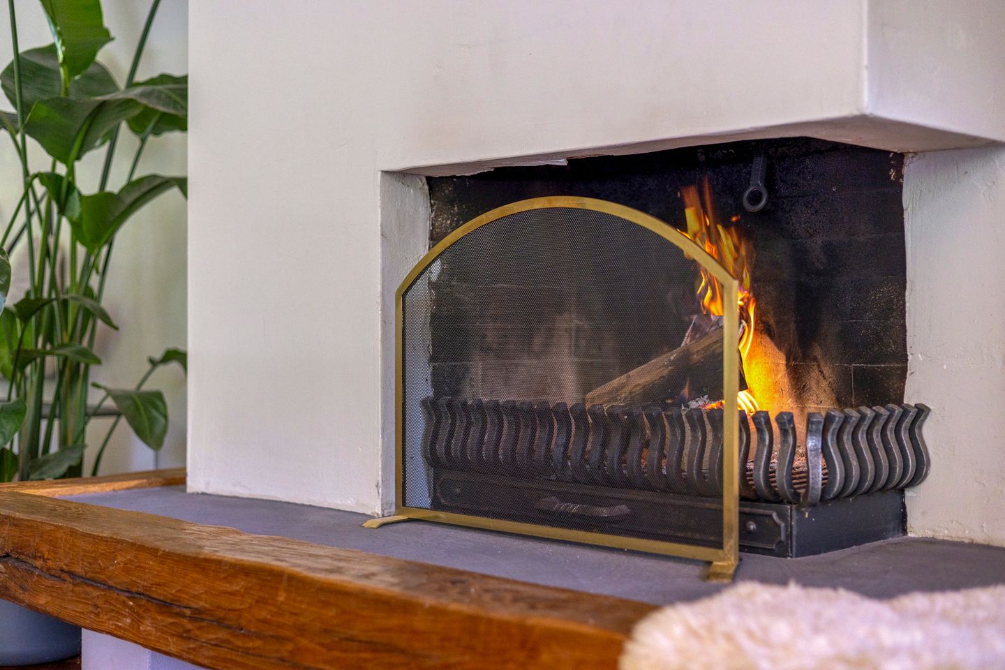 Foto 5 van Berkenoord 32