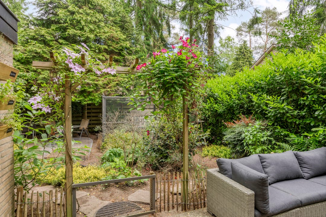 Foto 22 van Berkenoord 32