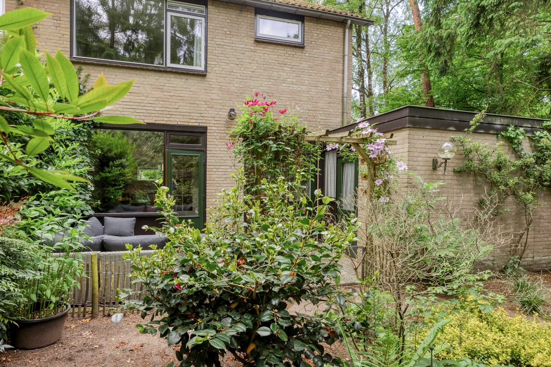 Foto 28 van Berkenoord 32