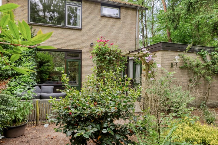 Foto 28 van Berkenoord 32