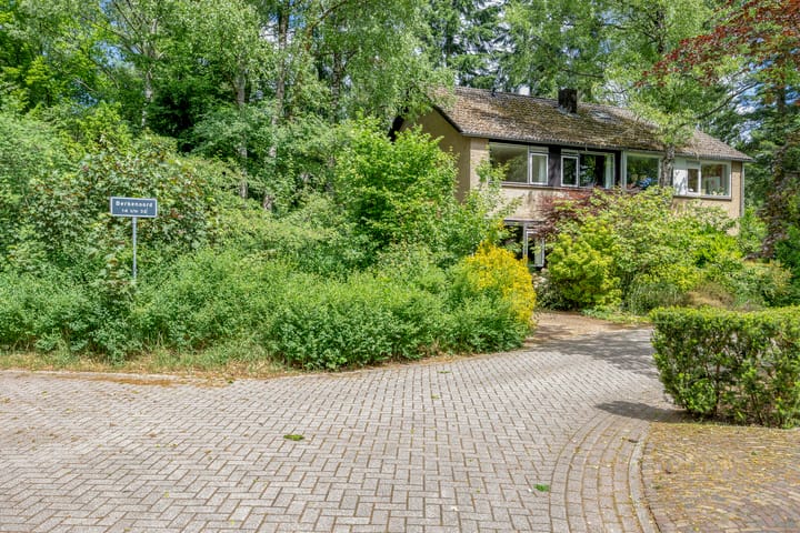 Foto 31 van Berkenoord 32