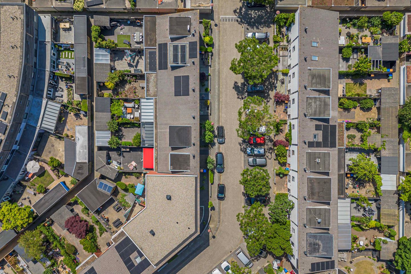 Foto 34 van De Vergulde Paarden 107