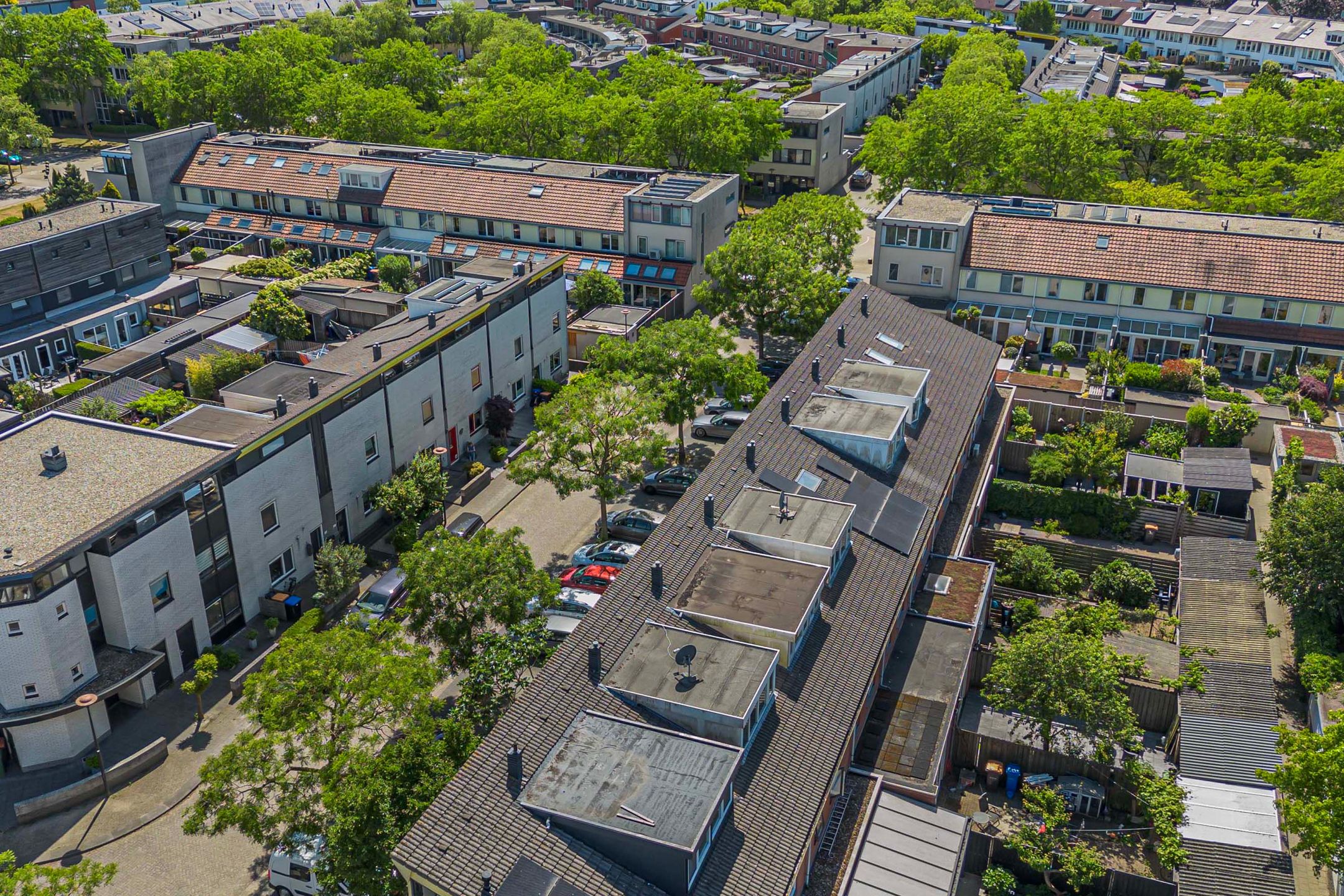 Foto 39 van De Vergulde Paarden 107