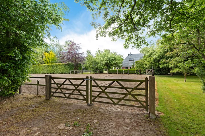 Photo 52 of Jan Gosses Wijk 27