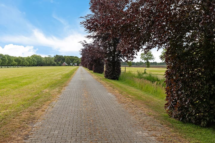 Photo 55 of Jan Gosses Wijk 27