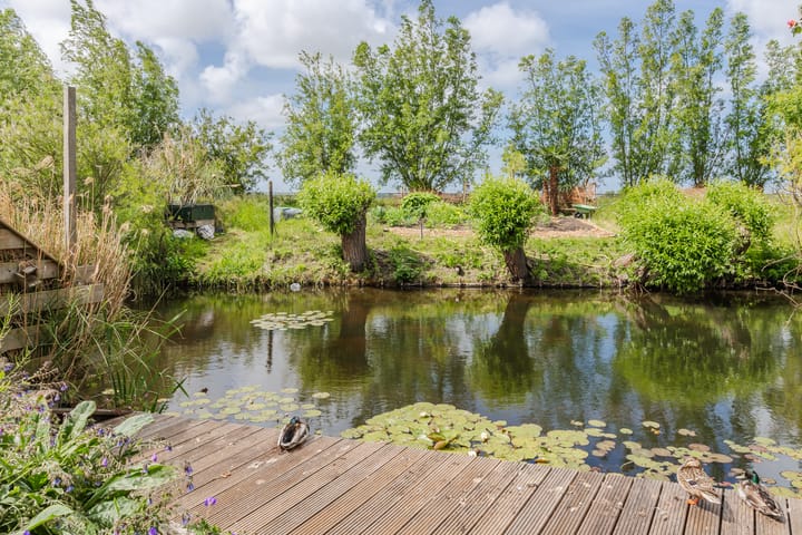 Foto 22 van Mezenhof 97