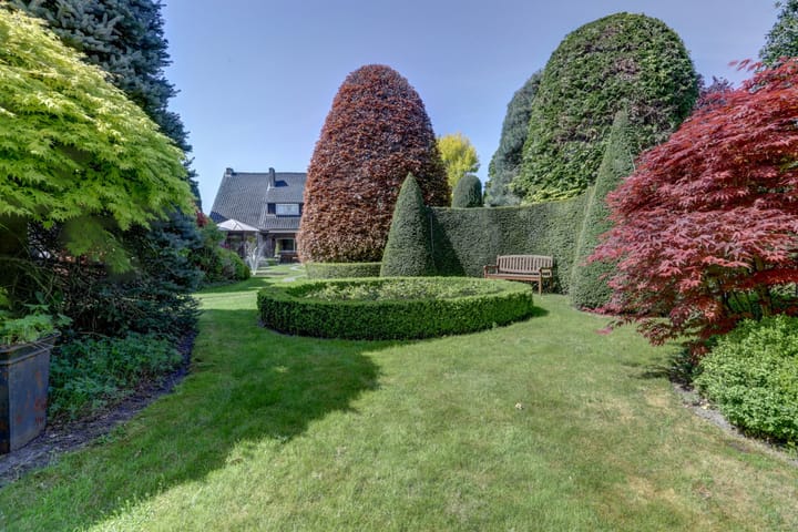 Foto 35 van Molenbaan 15