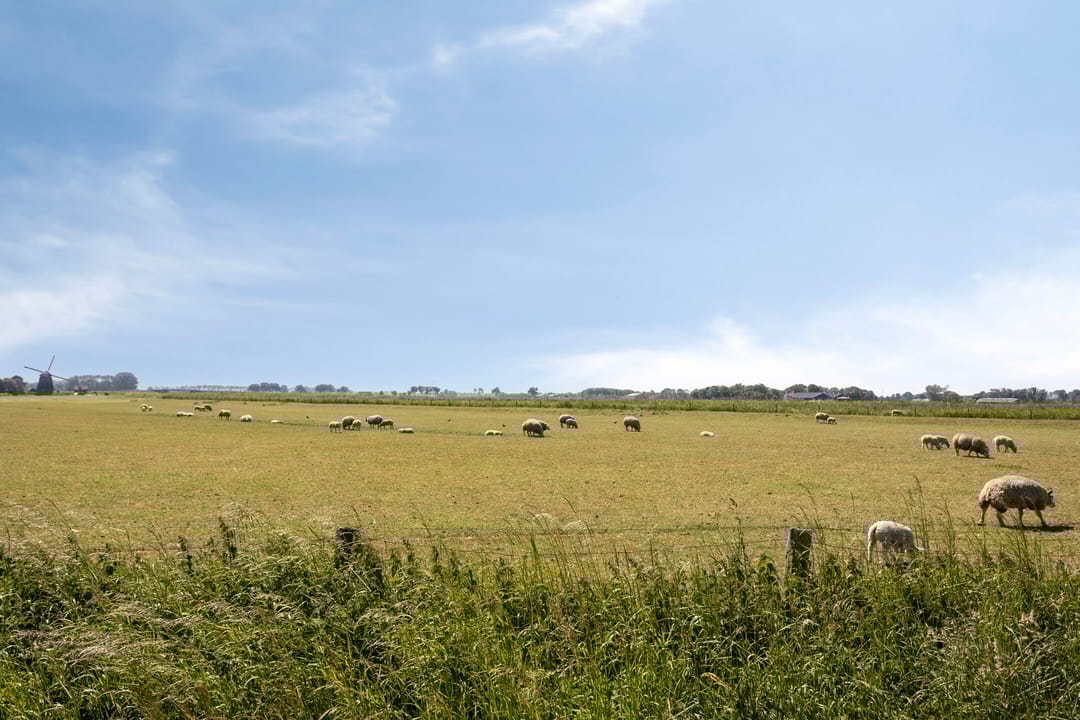 Foto 23 van Pieter Dekkerstraat 11