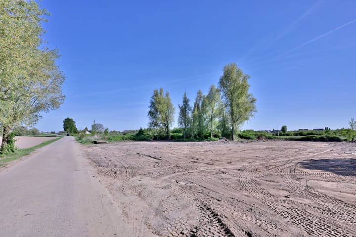 Foto 5 van Elzenbosweg