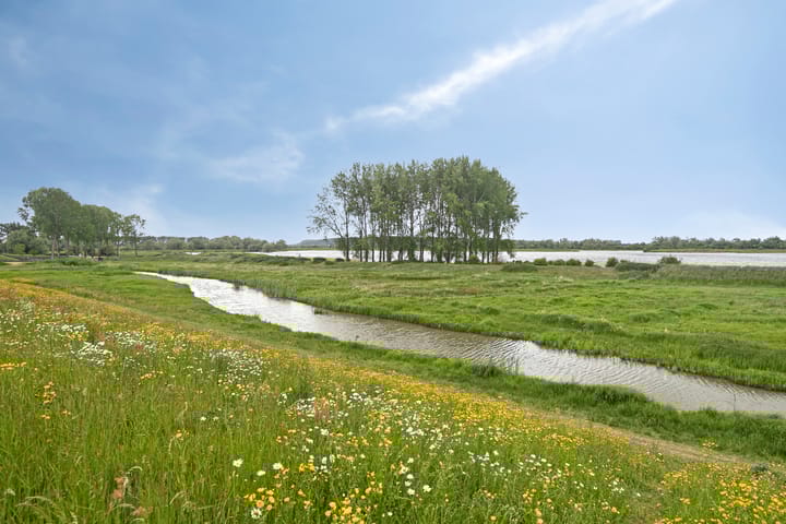 Foto 45 van Kastanjelaan 7