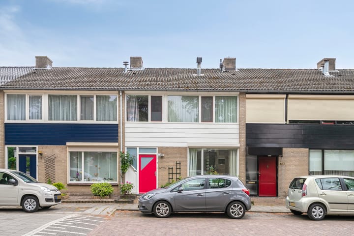 Foto 1 van Bosveld 109