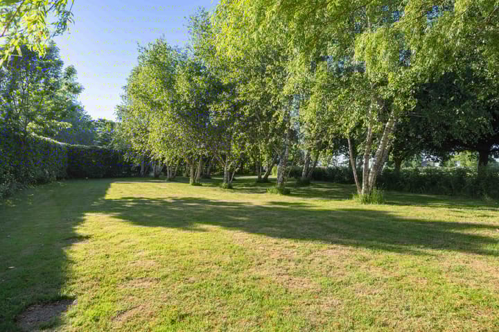 Foto 16 van Sopsum 6