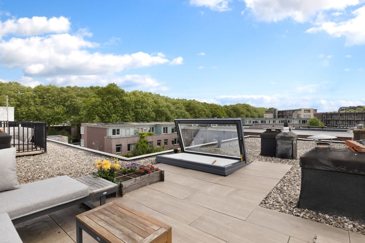 Foto 28 van Laan van Nieuw-Guinea 14-BS