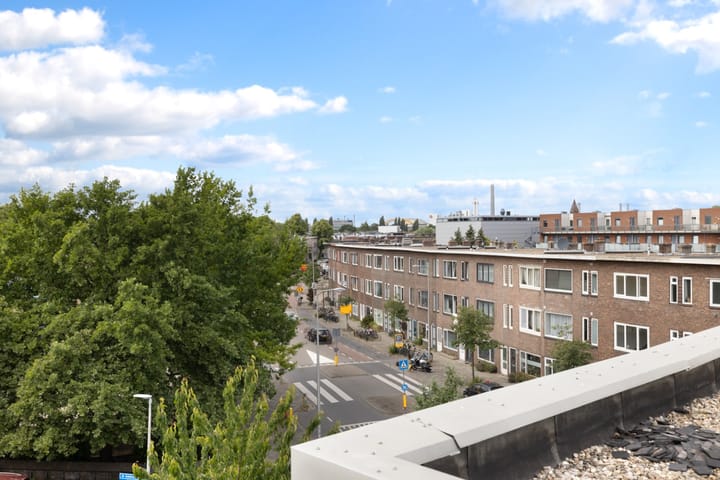 Foto 29 van Laan van Nieuw-Guinea 14-BS