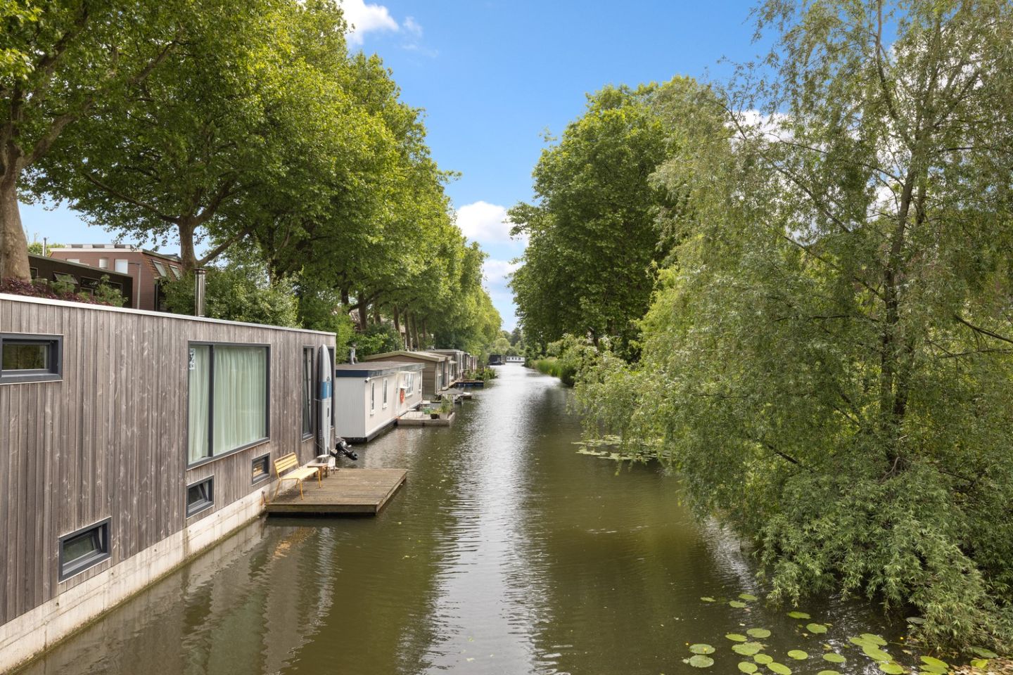 Foto 35 van Laan van Nieuw-Guinea 14-BS