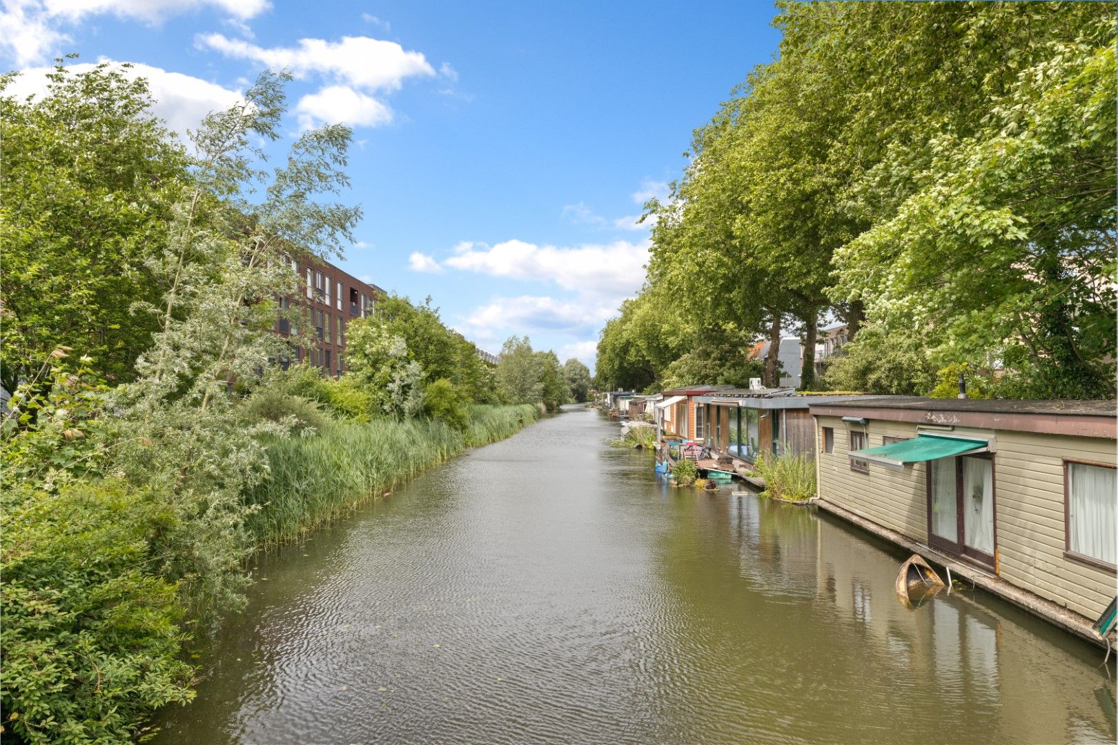 Foto 36 van Laan van Nieuw-Guinea 14-BS